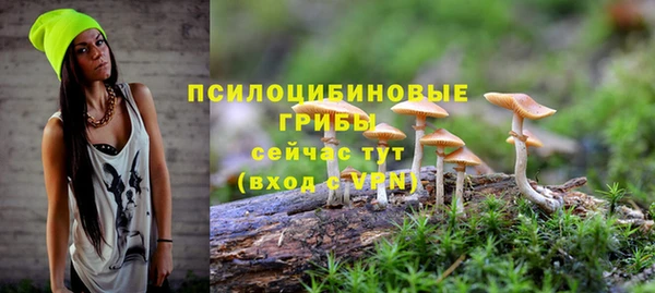 метамфетамин Богородск