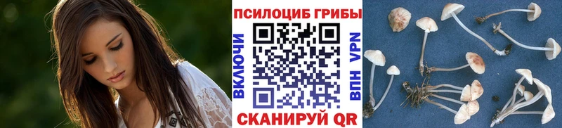 дарк нет какой сайт  Белоусово  Псилоцибиновые грибы Psilocybine cubensis 